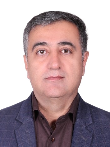 Prof. Ata Amini